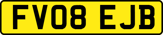 FV08EJB