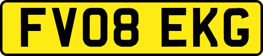 FV08EKG