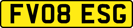 FV08ESG