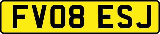 FV08ESJ