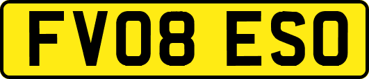 FV08ESO