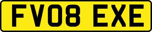 FV08EXE