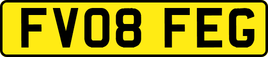 FV08FEG