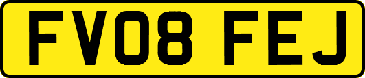 FV08FEJ