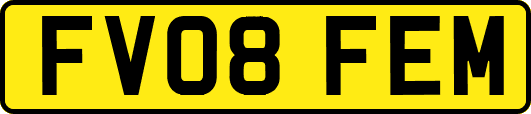 FV08FEM