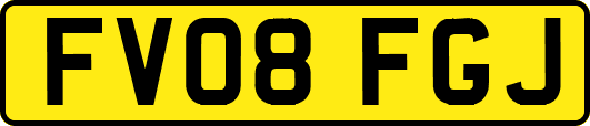FV08FGJ