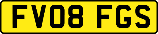 FV08FGS