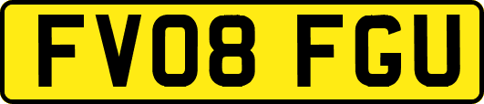 FV08FGU