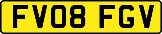 FV08FGV