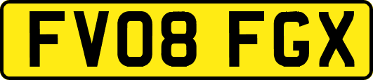 FV08FGX