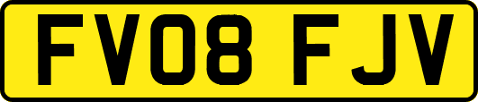 FV08FJV