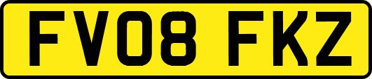 FV08FKZ