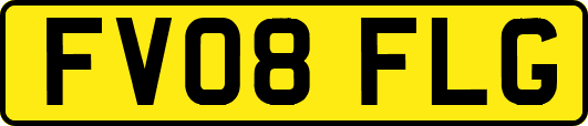 FV08FLG