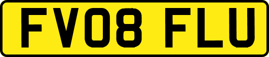 FV08FLU