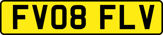 FV08FLV