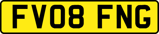 FV08FNG