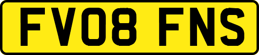 FV08FNS