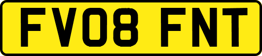 FV08FNT