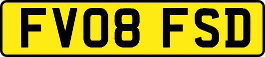 FV08FSD