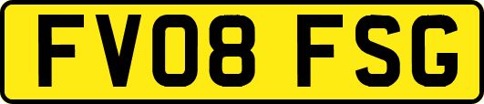 FV08FSG