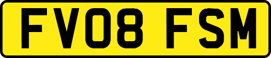 FV08FSM