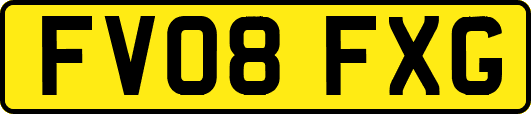 FV08FXG