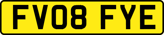 FV08FYE