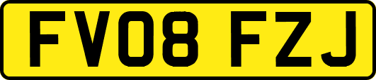 FV08FZJ