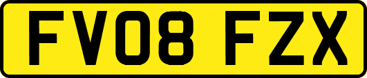 FV08FZX