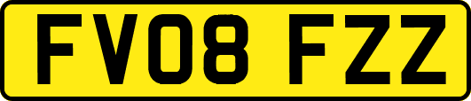 FV08FZZ