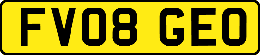 FV08GEO