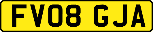 FV08GJA
