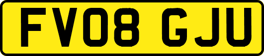 FV08GJU