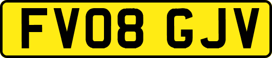 FV08GJV