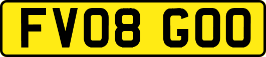 FV08GOO
