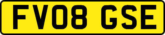 FV08GSE