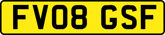 FV08GSF