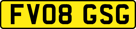 FV08GSG