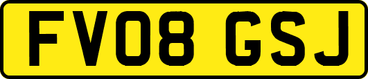 FV08GSJ