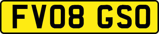 FV08GSO