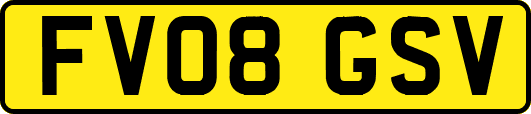 FV08GSV
