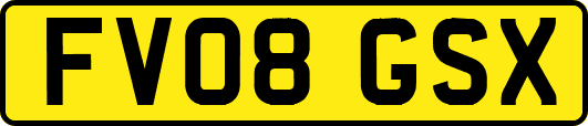 FV08GSX