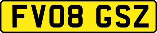 FV08GSZ