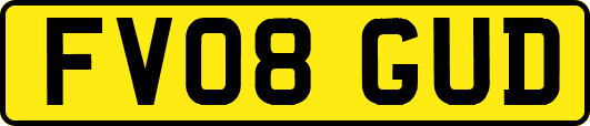 FV08GUD