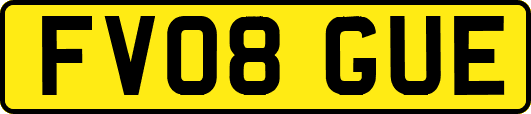 FV08GUE