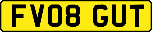 FV08GUT