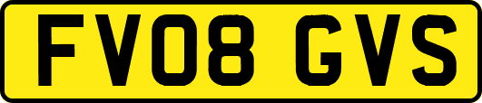 FV08GVS