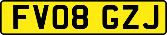FV08GZJ