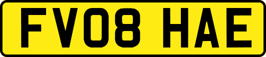 FV08HAE