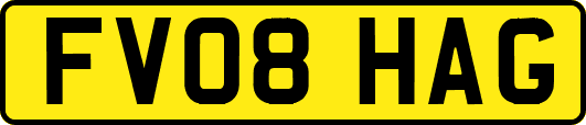 FV08HAG